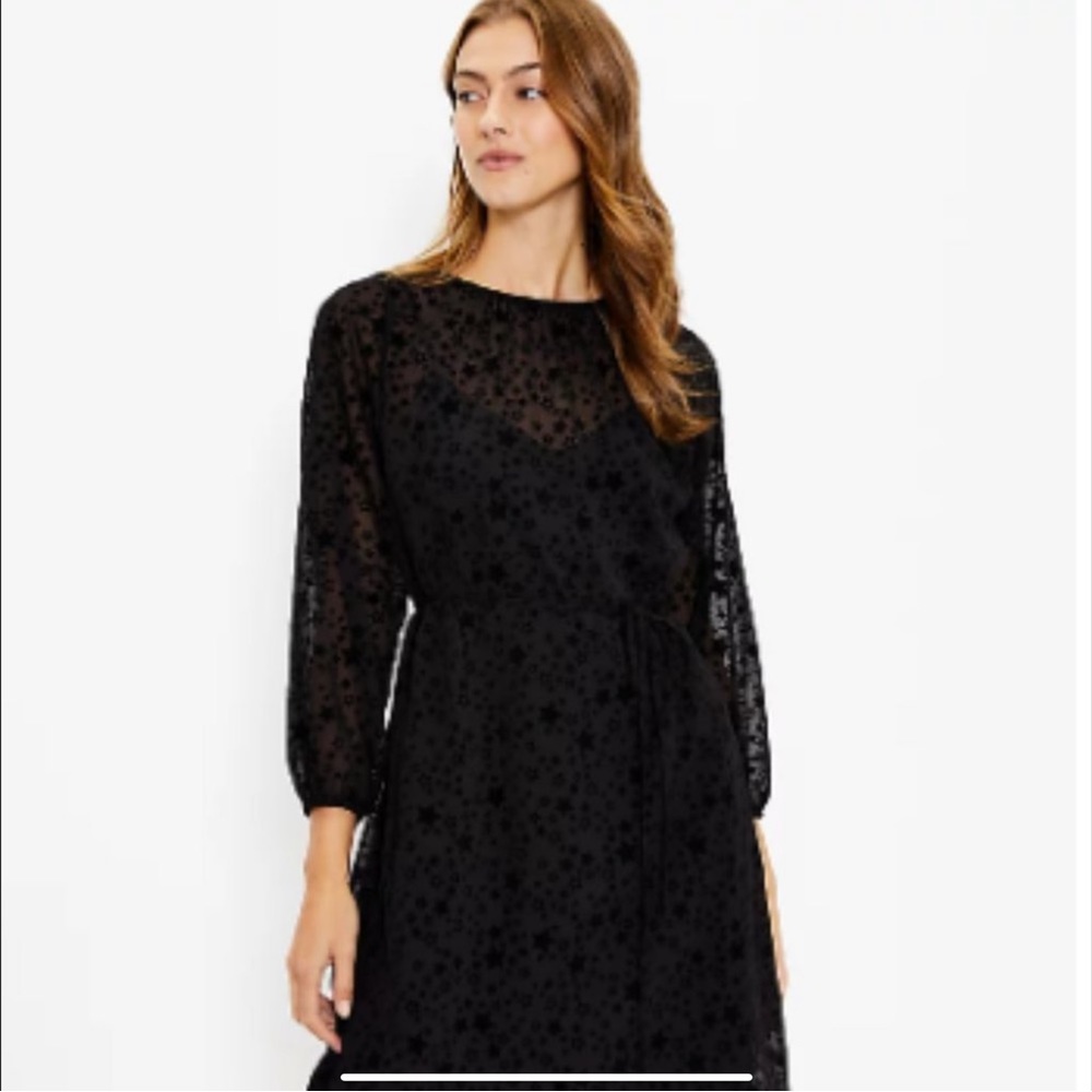 NWT LOFT Star Tie Waist Dress Sz M